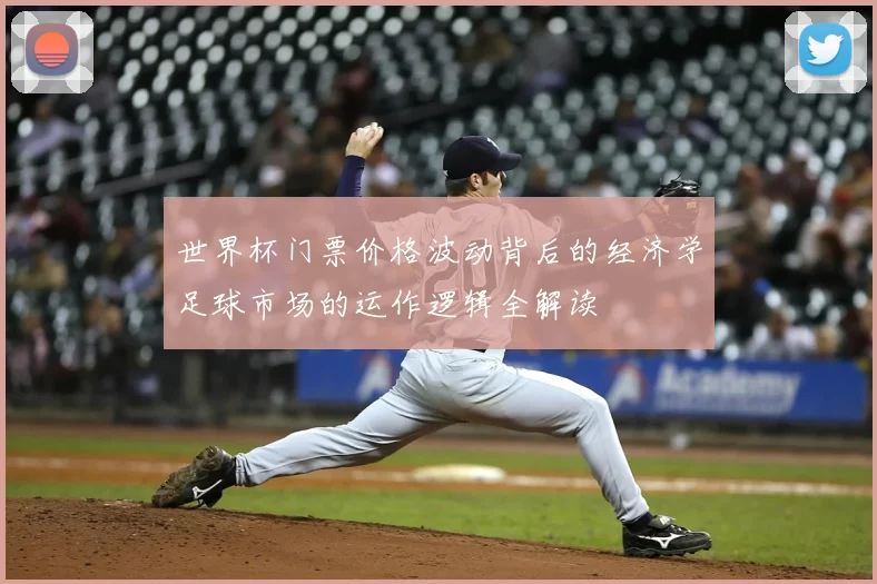 世界杯门票价格波动背后的经济学足球市场的运作逻辑全解读