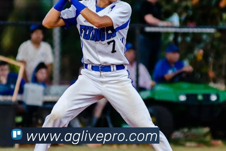 AG真人游戏平台平台生态图