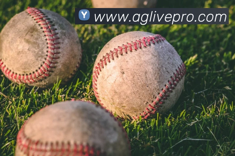 AG真人游戏平台全站App