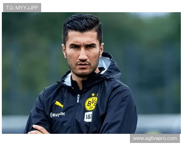 德甲远征球迷名单公布:谁是最铁的客场支持者? 德甲远征球迷名单公布:谁是最铁的客场支持者?